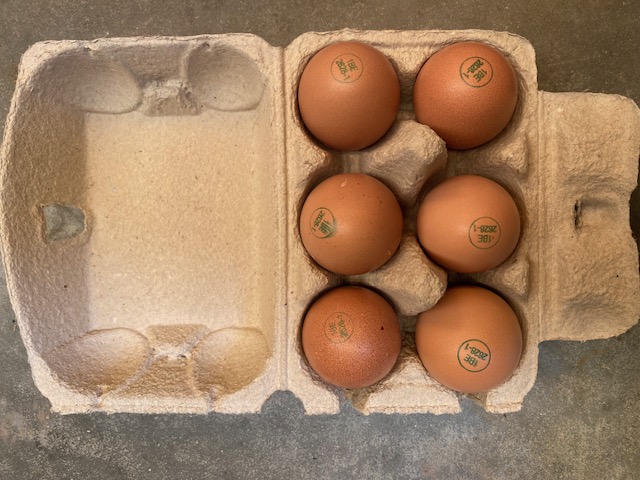 [6 ei] 6 eieren*